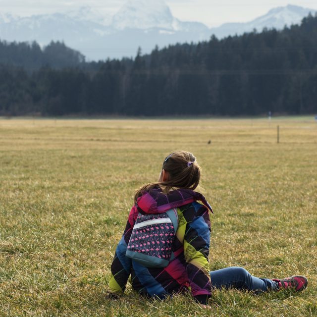 ROANI Hansedelli Kinderrucksack nähen für Kinder Schnittmuster Rucksack Flamingos pink blau