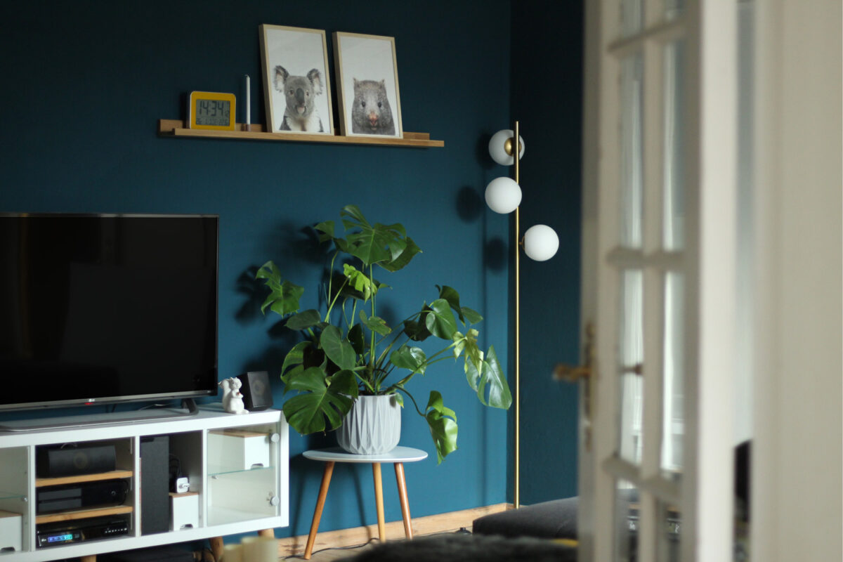 Wohnzimmer Petrol einrichten Monstera living room interior Design